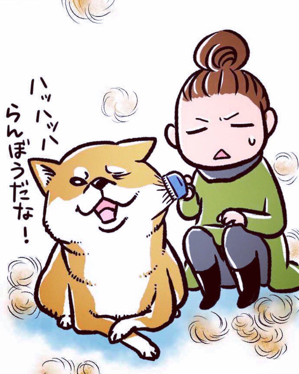 真希ナルセ マキ No Twitter エンドレス抜け毛 漫画 犬漫画 マンガ Comico コミックエッセイ イラスト ミニチュアダックス 柴犬 グミ王子 柴犬銀次郎 マキナル 真希ナルセ 真希ナルセ マキ No Twitter エンドレス抜け毛 漫画 犬漫画 マンガ Comico コミックエッセイ イラスト ミニチュアダックス 柴犬 グミ王子 柴犬銀次郎 マキナル 真希ナルセ