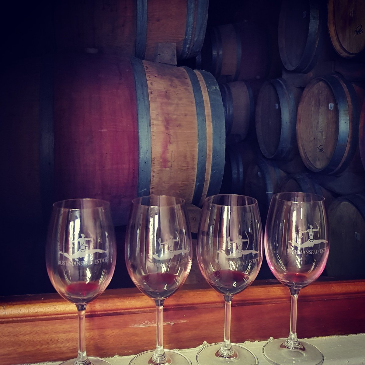 Bushmanspad1's tweet photo. Tasting the future!! Tasting the vintages that are to be released in the next year or two. Our winemaker @aldertnieuwoudt is very excited about how the wines are developing. #bushmanspad #winemaking #winedrinker #barreltasting #newvintages #terroirspecific #handcraftedwines https://t.co/tFiwg7q8Hz