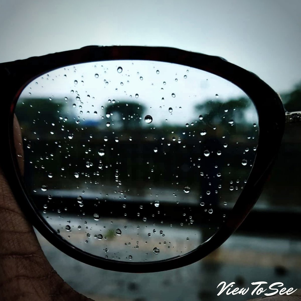 ViewToSee1's tweet photo. Clicked by @debolina_aich #mothernature
#nature #NaturalBeauty #naturephoto #NatureBoy #naturelovers #morning #trees #beautyful #mobilephotography #NatGeo #India #wenesday #snapseed #instagood #specticals #violate #wednesdayshot #unique #black #park #instadaily #instagood #specs https://t.co/2fjs50cIk6