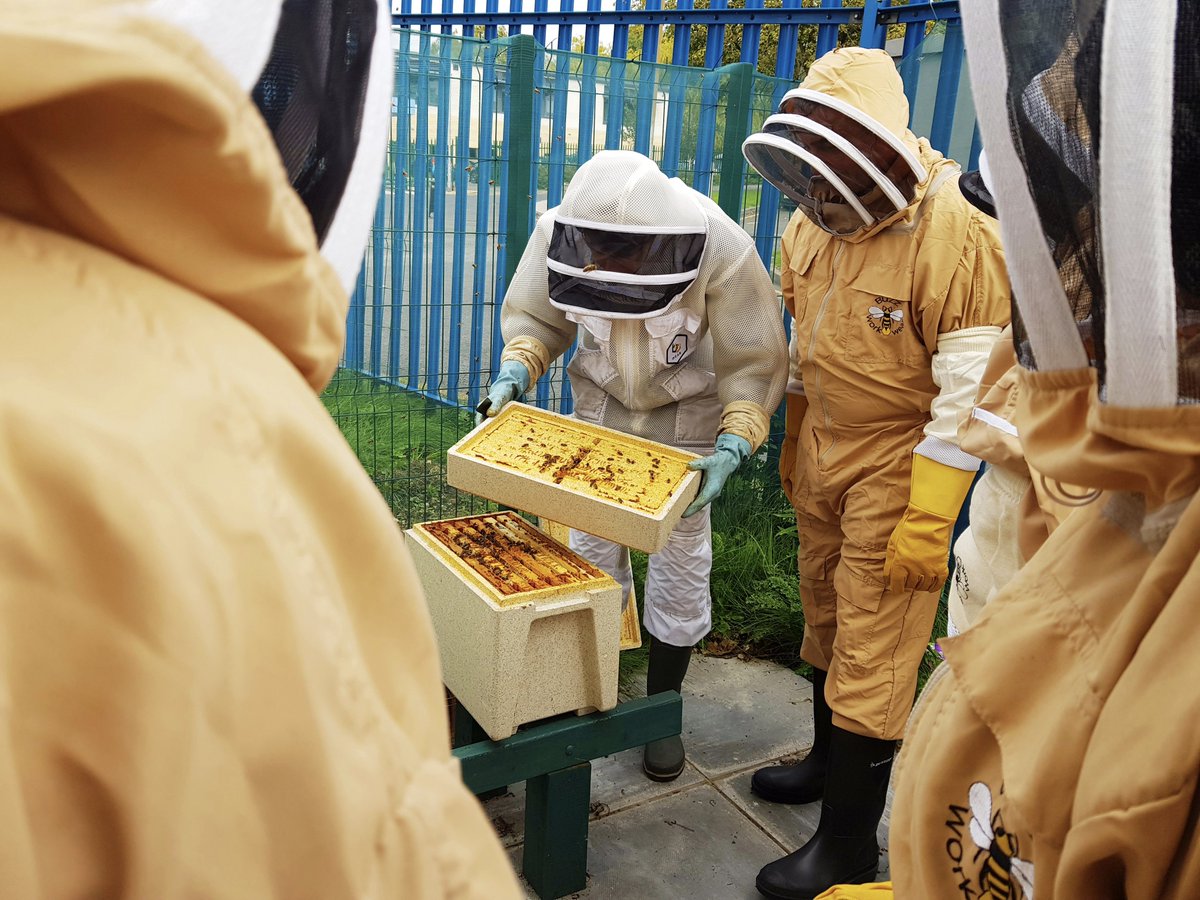 We’re BUZZING at Oldham College! We have a Master Bee Keeper training students in the Science of Bee Keeping on Wednesday afternoons. See Adam or Ray in the Student Quarter and Join the Oldham College Honey Company. <a href="/OldhamOA/">Oldham Opportunity Area</a> <a href="/andrew_michaela/">Michaela Andrew</a>
