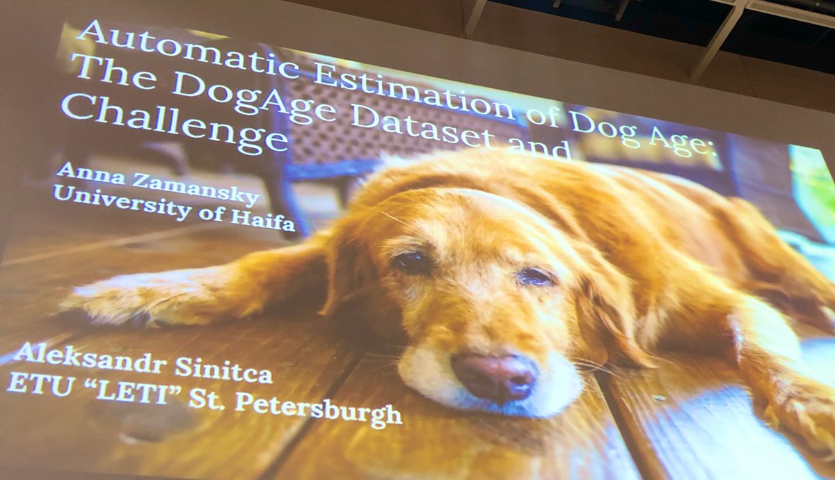 Fabian Theis (@fabian_theis) on Twitter photo <a href="/annazama/">Anna Zamansky</a> from Haifa University presenting an #AI competition at #icann2019, namely to predict age of a dog from an image. Implications for both pet owners and animal welfare. #ICANN2019ENNS <a href="/annazama/">Anna Zamansky</a> from Haifa University presenting an #AI competition at #icann2019, namely to predict age of a dog from an image. Implications for both pet owners and animal welfare. #ICANN2019ENNS