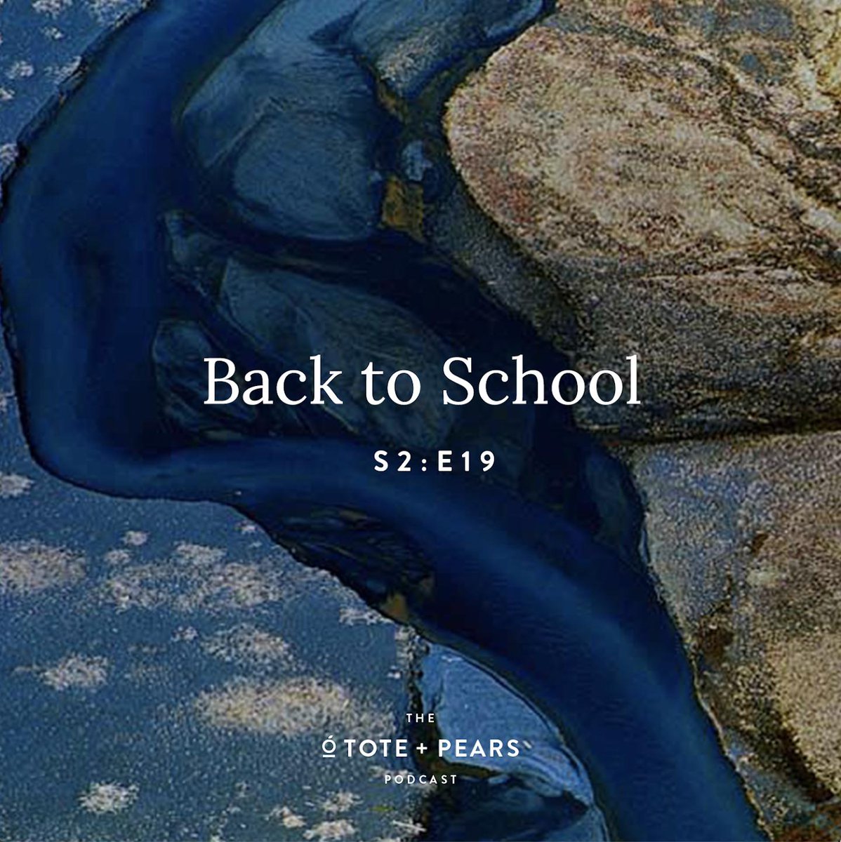 amberanderson02's tweet photo. Exploring the emotional landscape of moms at the onset of a new school year with educational researcher and mom, Ashley May @chasingwildones. Listen in: https://t.co/U5GVkz8XFe #toteandpears #podcast #motherhood https://t.co/fqf4CyJBck