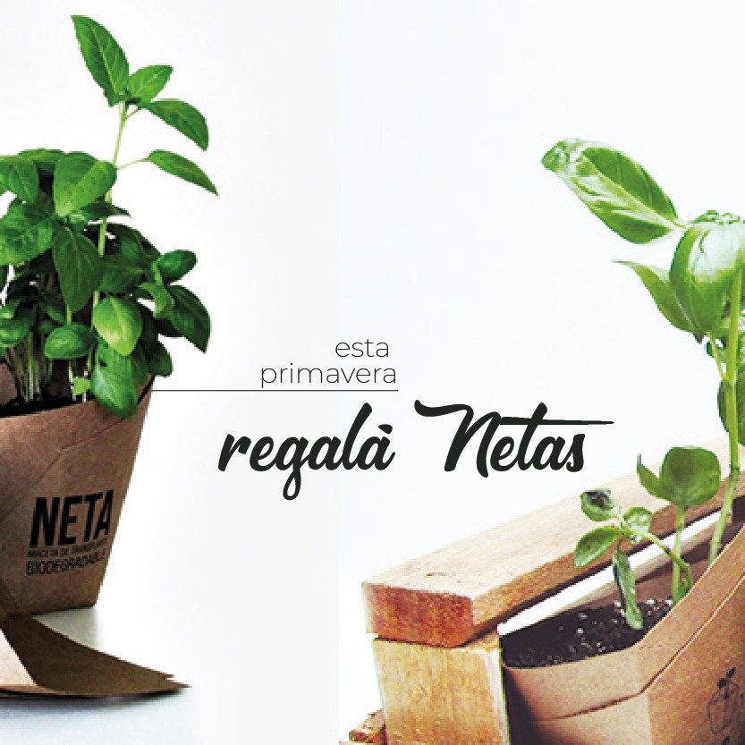 EstudioSimple's tweet image. Esta #primavera regalá #NETAS
Recibí #Septiembre con nuestras macetas de trasplante biodegradable.
Elegí #verde, elegí #vida #ElegíNETA.
.
Comunicate con nosotras y armá tu #RegaloInstitucional personalizado.
Elegí nuestros #CombosVerdes y elegí #plantas
