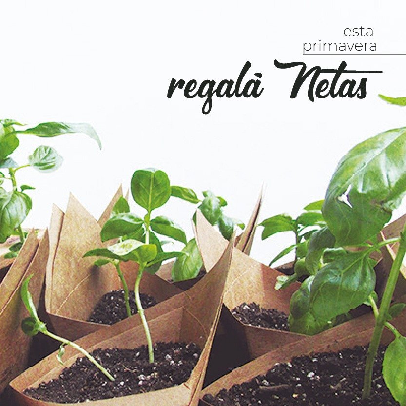 EstudioSimple's tweet image. Esta #primavera regalá #NETAS
Recibí #Septiembre con nuestras macetas de trasplante biodegradable.
Elegí #verde, elegí #vida #ElegíNETA.
.
Comunicate con nosotras y armá tu #RegaloInstitucional personalizado.
Elegí nuestros #CombosVerdes y elegí #plantas