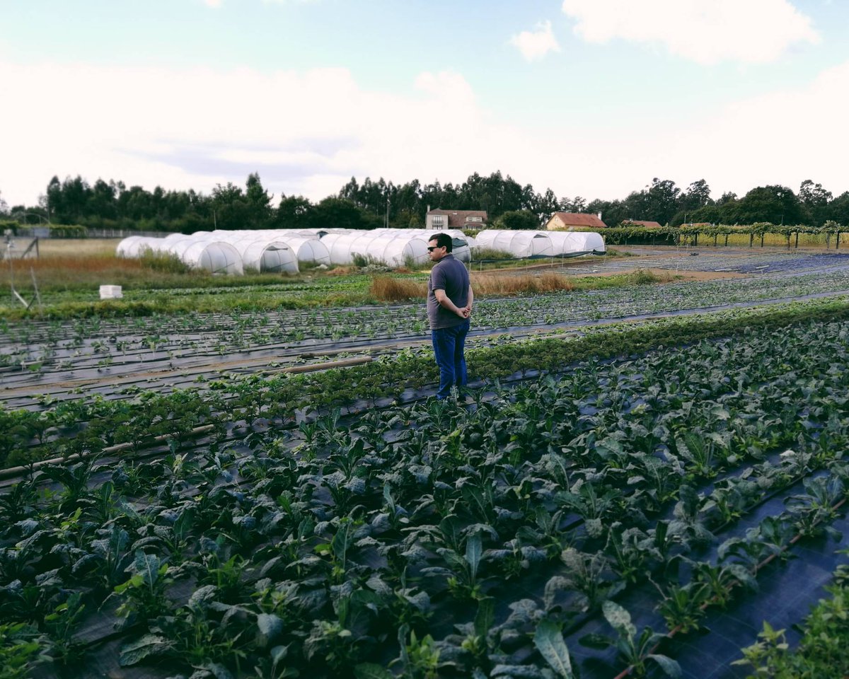 Visitas que se agradecen - @casa_gerardo estuvo en nuestras fincas en ocasión del aniversario de <a href="/bocanegracoruna/">bocanegra coruňa</a>. 
Para nosotros es muy importante que los clientes conozcan nuestras instalaciones, de dónde viene el producto que les enviamos, el trabajo que conlleva cultivarlo.