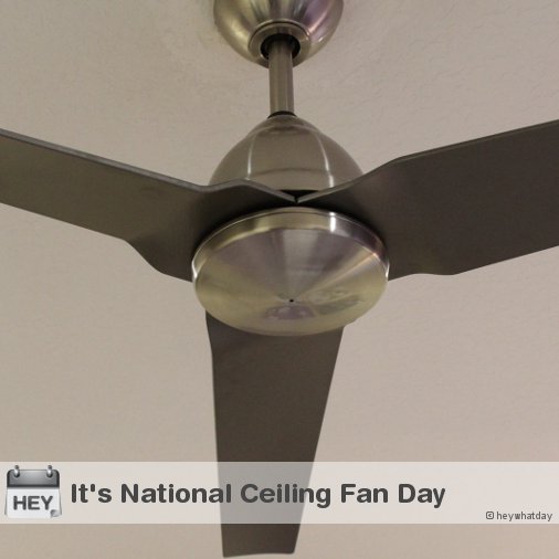 Ceilingfanday Hashtag On Twitter