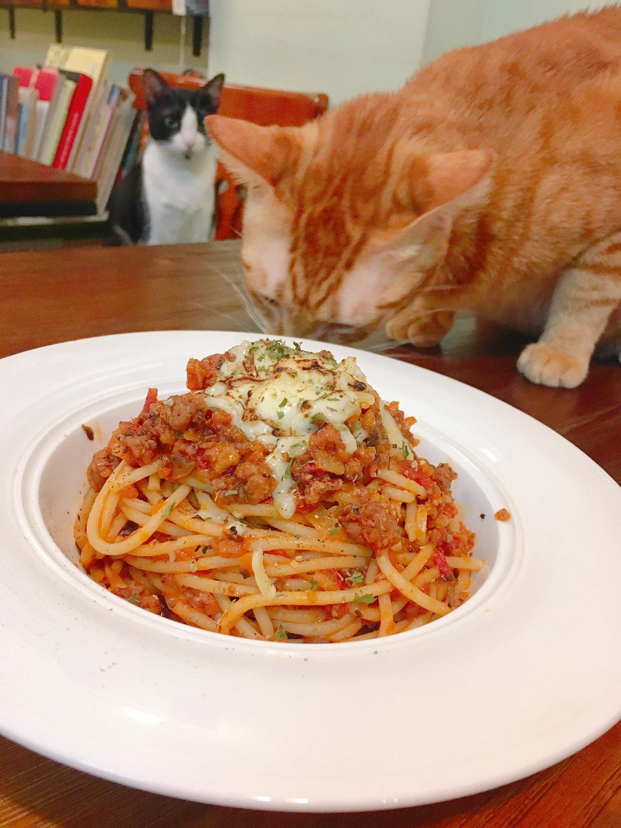 tea_papillon's tweet photo. 【Homemade spaghetti Bolognese自家製肉醬意粉】

新item登場！Papillon 要同肉醬意粉平反！只要比心機煮佢一樣好食💕✨ 我地個秘製肉醬要用大量洋蔥、蕃茄、紅蘿蔔、車厘茄、豬肉碎、用大啡菇代替牛肉，加上高湯同香料熬兩個鐘，就算冇牛肉依然香濃好味道～面頭燒少少芝士仲有煙熏味添🍝

#肉醬意粉 https://t.co/vaqyLMOobm