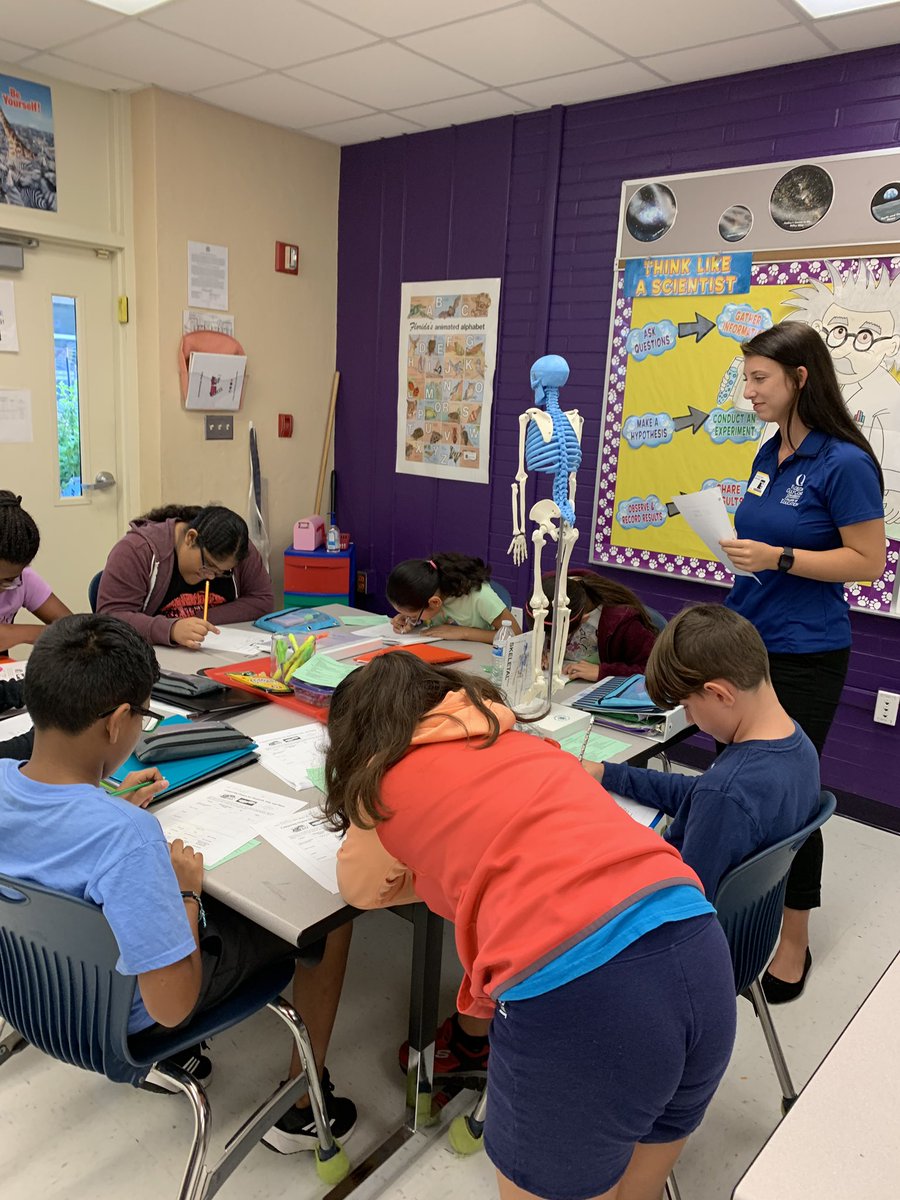 Comparing plant and animal organs in thee STEM Lab! <a href="/VillasElem/">Villas Elementary</a> #loveleeschools