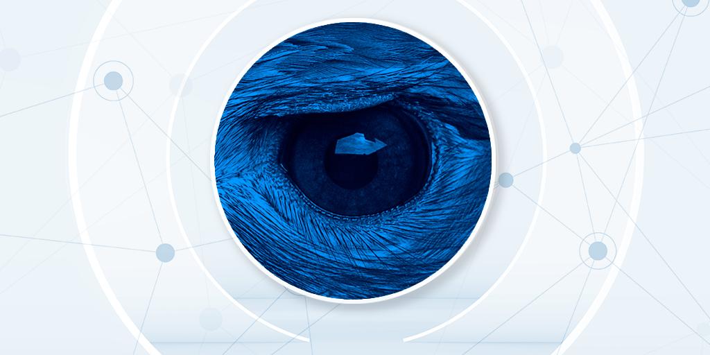 Algatech98's tweet photo. Our eyes are under constant attack from many environmental factors around us. The importance of #astaxanthin for #eyehealth cannot be overstated >>
#AstaPure
https://t.co/HJHCaaFHhu https://t.co/bUaohhPbT2