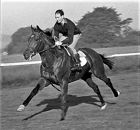 Anaglogs Daughter tweet media