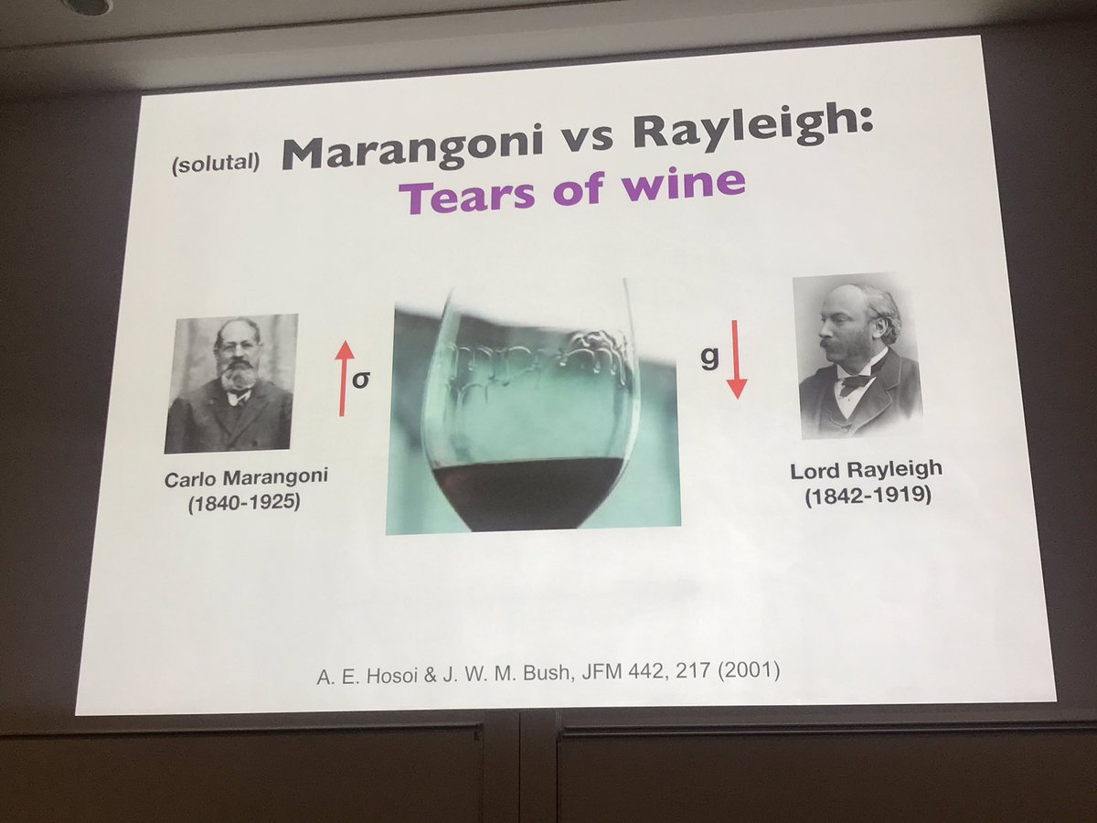 MatarLab's tweet image. Thank you so much #Droplets2019 organisers! Wonderful conference! See you all in #Darmstadt 2021. 👍🙏😀

@durham_uni @NorthumbriaUni @UKFluidsNetwork @MultiphaseTPSIG @ImperialChemEng