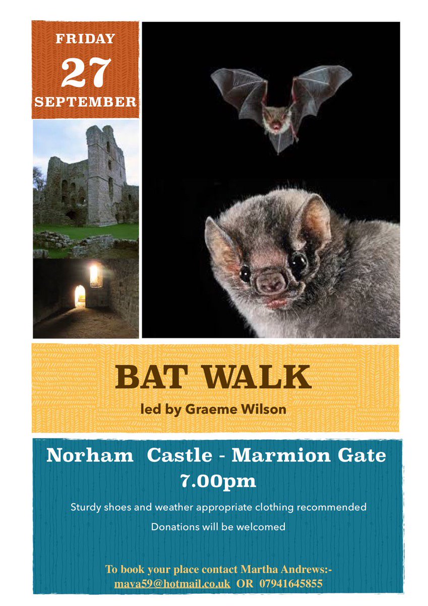 moreBerwick's tweet photo. 'Bat walk' led by Graeme Wilson, starting at Norham Castle on Fri 27th September 2019. #BattyaboutBats #Bats #naturewalk #wildlife #Northumberland https://t.co/R4SQ2bTpfa