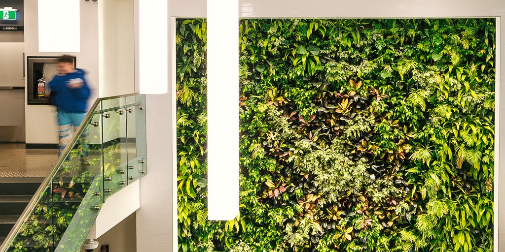 Nedlaw Living Walls tweet media