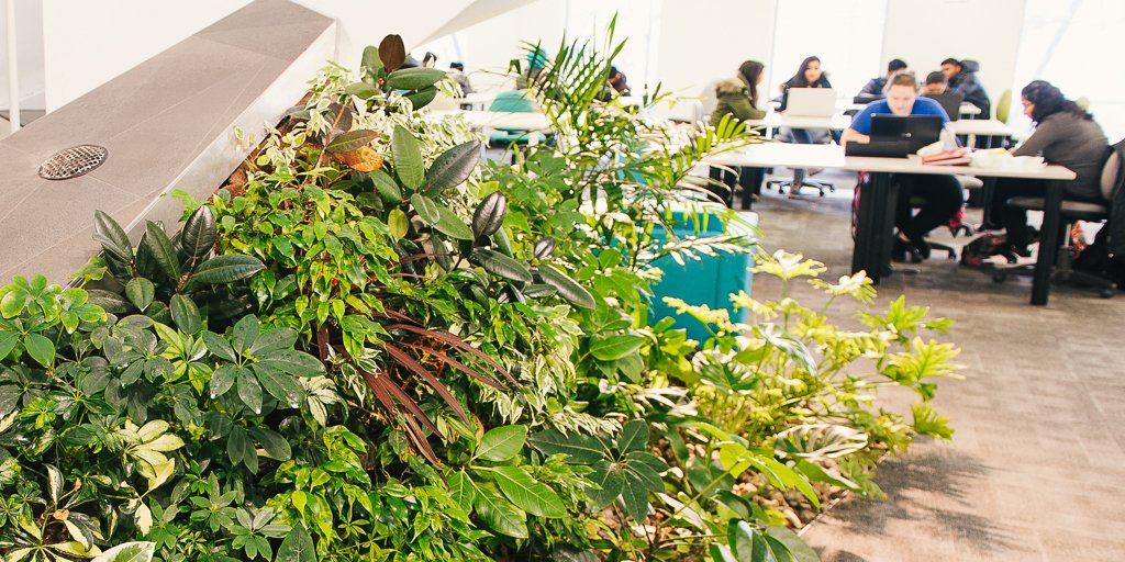 Nedlaw Living Walls tweet media