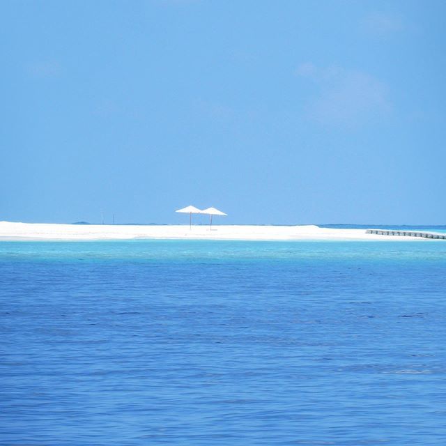 bluemoonescapes tweet media