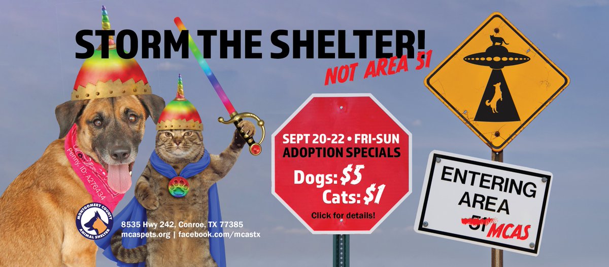 Storming Area 51 to see aliens and Unidentified Flying Objects = arrested and years in jail. Storming the shelter to see dogs and cats and Ultra Furry Objects = a loving pet and years of friendship! #StormTheShelter #StormArea51 mcaspets.org/DOGS mcaspets.org/CATS