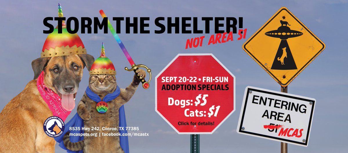 MCASPets's tweet image. Storming Area 51 to see aliens and Unidentified Flying Objects = arrested and years in jail. Storming the shelter to see dogs and cats and Ultra Furry Objects = a loving pet and years of friendship! #StormTheShelter #StormArea51 

mcaspets.org/DOGS
mcaspets.org/CATS