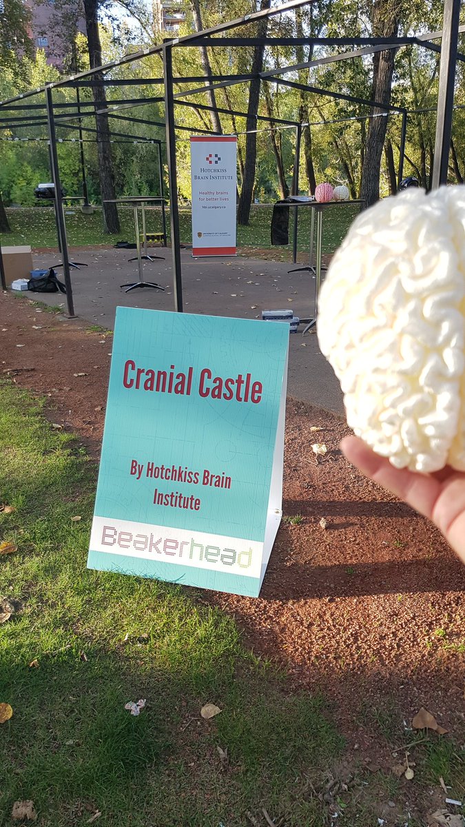 JeffreyFDunn's tweet photo. @hbitoUCalgary @UofCmedicine graduate students and the #dunnlab are setting up at @Beakerhead for hours of brainy stuff. Wed Thurs with schools. Sat is Beakerhead night. #princesisland #yyc @neurograduofc @UofCmedicine @UCalgaryFGS Friday night is science slam at SAIT https://t.co/nTv1EkBIJ3