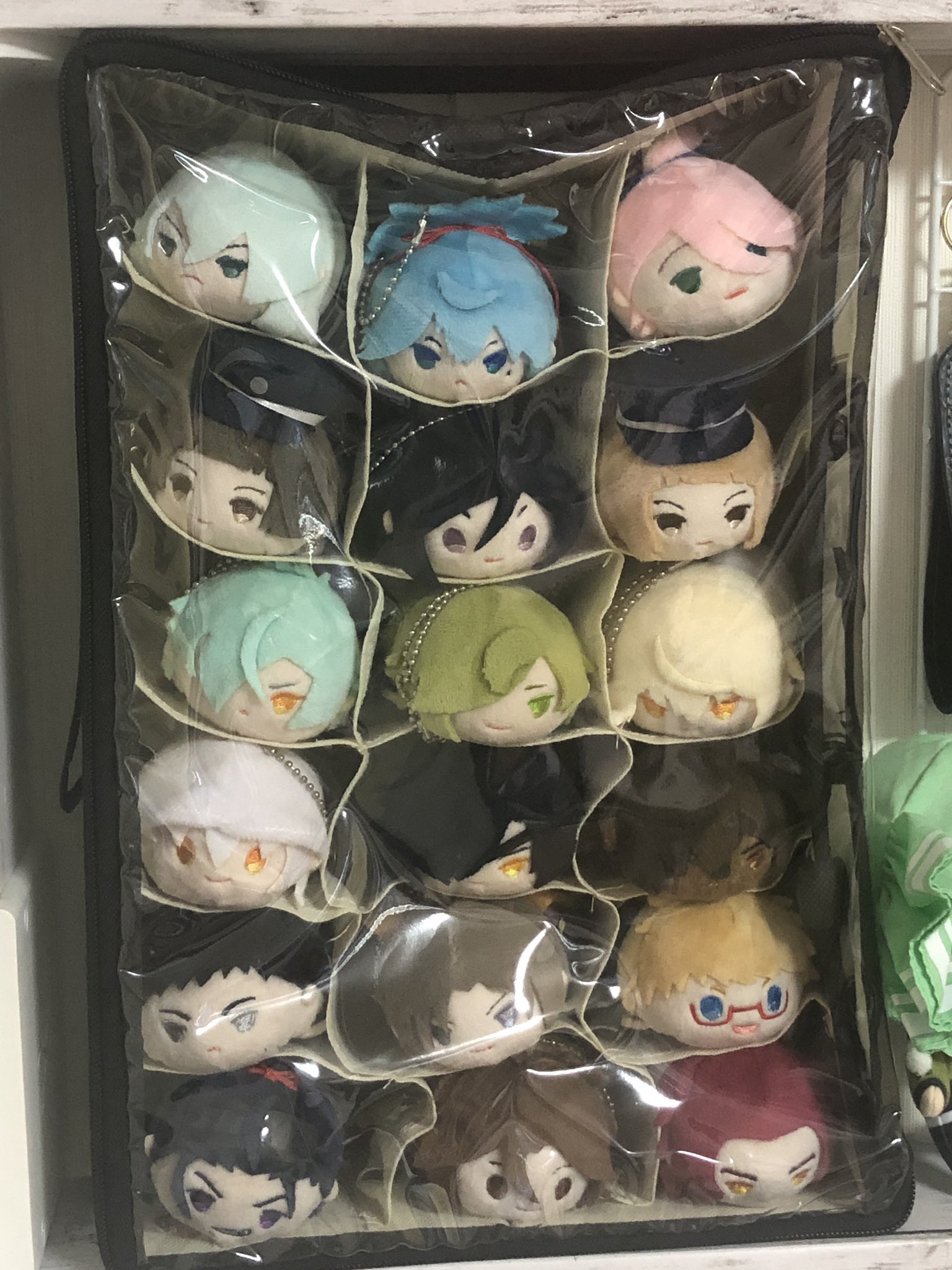 あさもち 今回のでもちマスちゃん飼いデビューな方増えそうだなって思ったのでオススメのもちマス保管方法を もちマスマンション 300円ショップとかに売られてる仕切り付きケース これはスリーコインズの なかなかにぴったりサイズでいい感じです 蓋つき