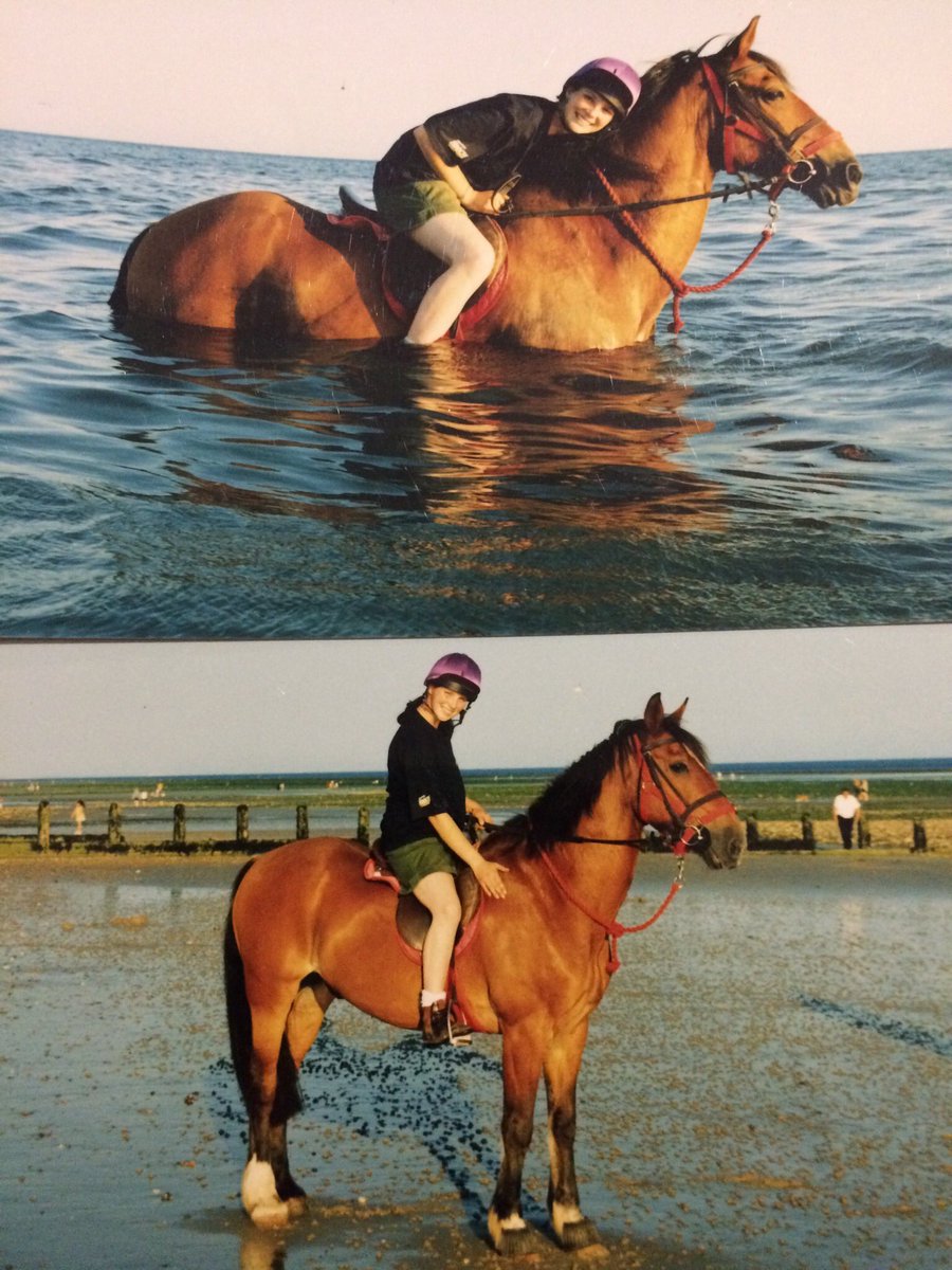 Tweeklet's tweet photo. My beautiful saggy backed old man Kris 🥰 20 years gone over 🌈 bridge #TyrosChristopher #WelshSectionD #veteran £250 and a promise to keep you for the rest of your life, that was too short a time but that’s what you get falling for a golden oldie 🥰 https://t.co/GdLMSuXkAP