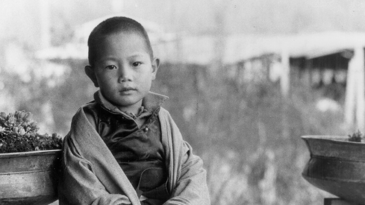 DKFShechen's tweet photo. Join Rabjam Rinpoche in NYC in October!
https://t.co/wYI1sIXbOk
#rabjamrinpoche #dharma #buddhism #eventsinnyc https://t.co/qTZXI4IdA8