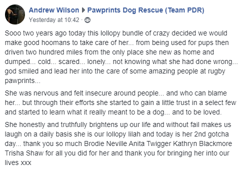 PDRescue's tweet photo. Why do we keep asking for votes in the #MHCharityComp...?🤔🤔🤔

Because we want to raise awareness of our #rescue &amp; have more (much more!) of THIS! 🥰🥰🥰

Vote here: https://t.co/nNEqoi2S1g

#Adopted #rescuedog #gotchaday #WoofWednesday #WoofWoofWednesday #WednesdayWin https://t.co/zchdR25YeF