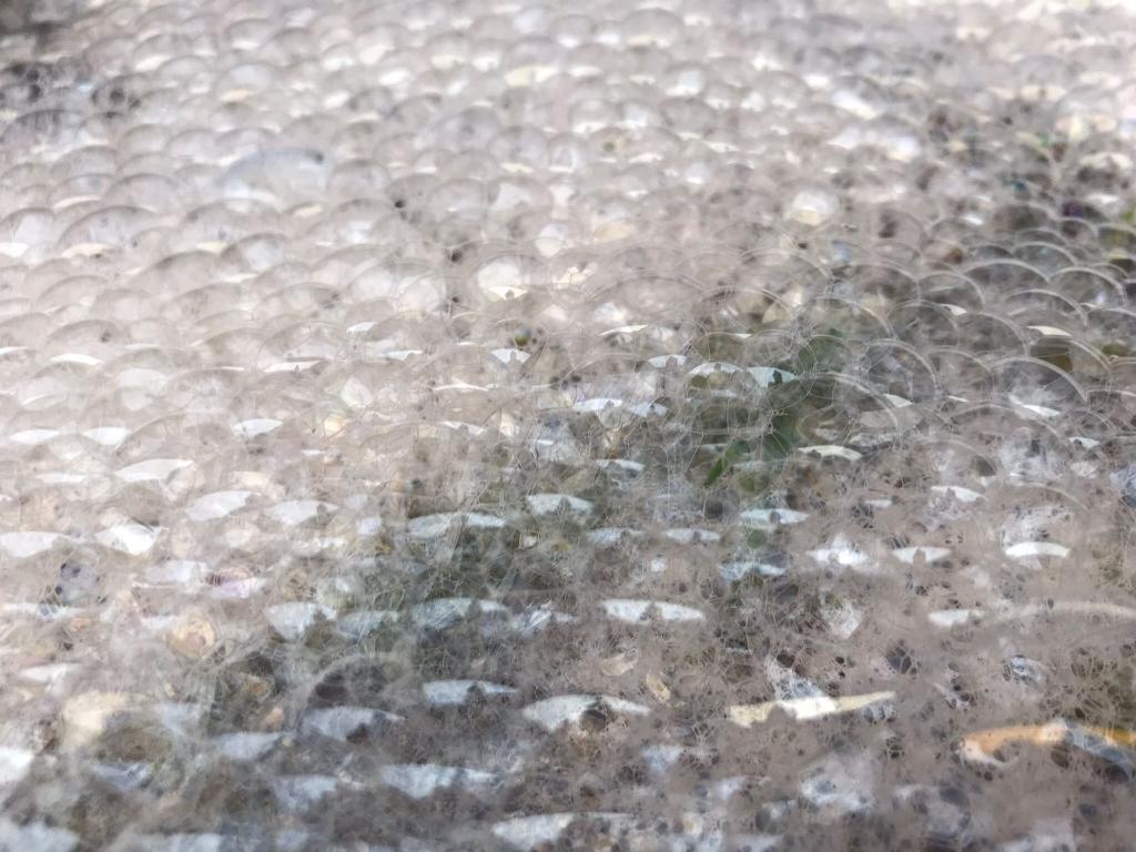 WeedingTech's tweet photo. How does #Foamstream actually work to kill weeds?

The foam simply acts as an insulation blanket over the top of the hot water, holding the heat in the plant in the kill zone (above 57'C) for an extended period of time.

It’s incredibly effective! https://t.co/W7cbR7HQM6