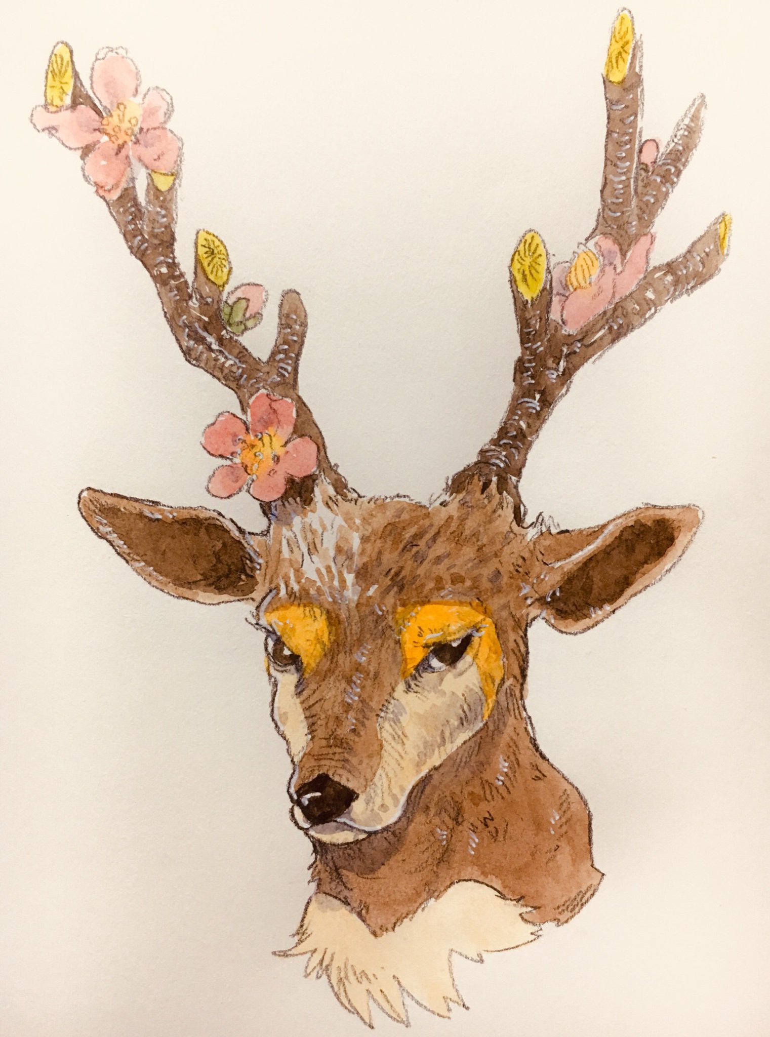 ハスリ Ar Twitter 唐突にメブキジカ Go実装たのしみ