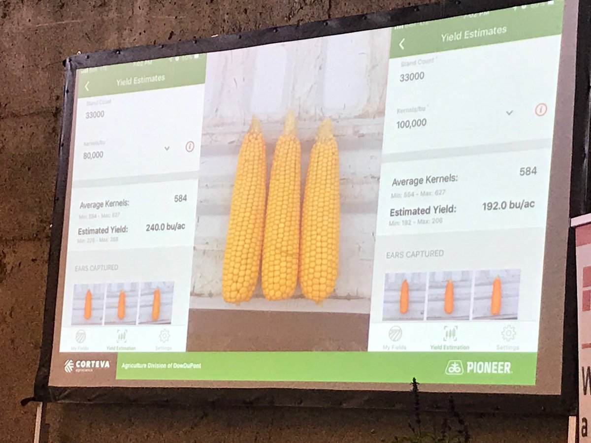 phhermans's tweet photo. Be honest says ⁦@chrisolbach⁩ when entering in kernels per bushel when using our Pioneer Yield Estimator app. A big difference in yields based on test weight and kernel depth this year in a cooler later year. #agronomy #PlotDays #GoCornGo https://t.co/7wBP7iOfAu