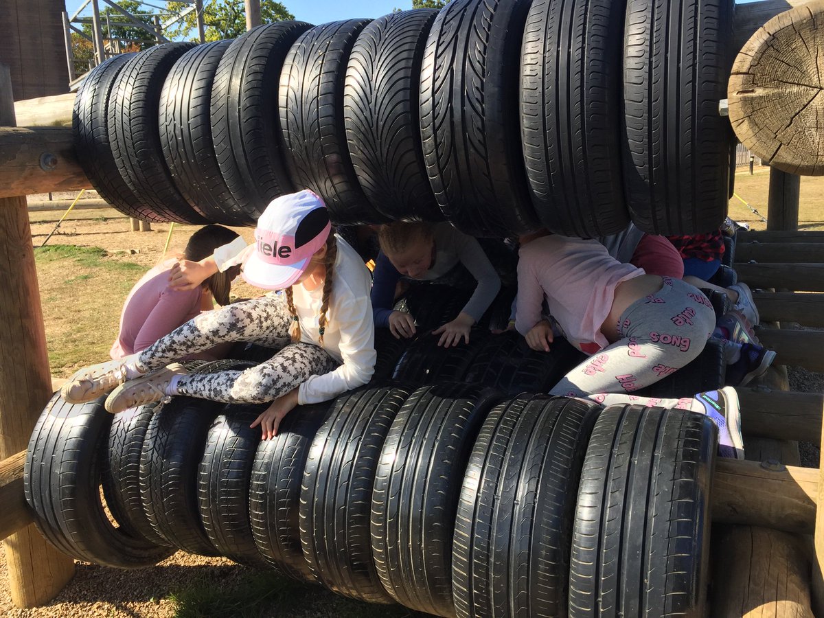 Brighton Girls KS2 tweet media