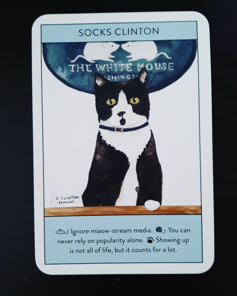 luminousmeow111's tweet photo. Happy #WhiskerWednesday 😸
#dailyoracle #love #light #meow #kitty #cats #oracle #advice #happymonday #meowday #messageoftheday #themeowdaily https://t.co/d0vQeMCzAg