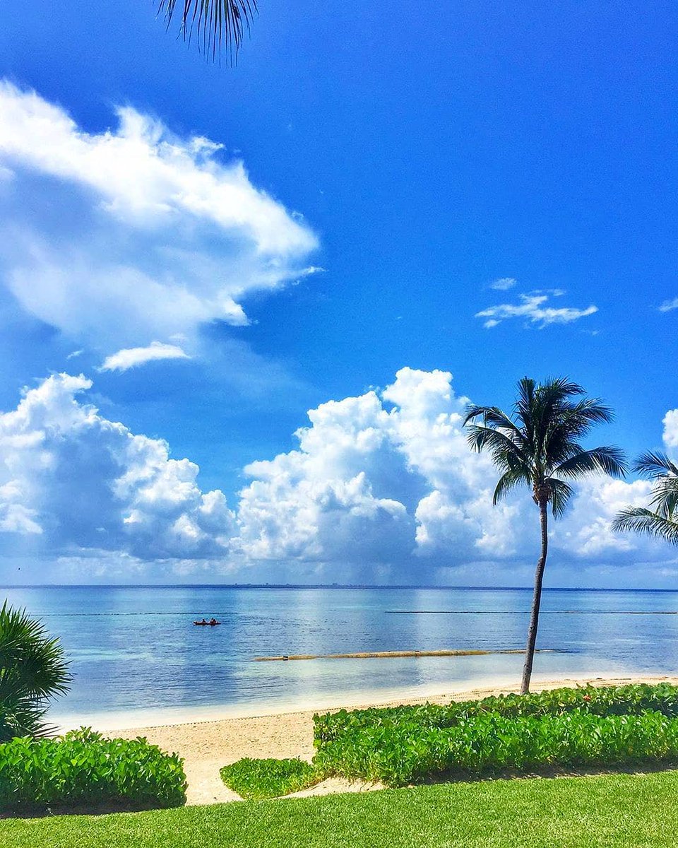 Grand Velas Riviera Maya tweet media