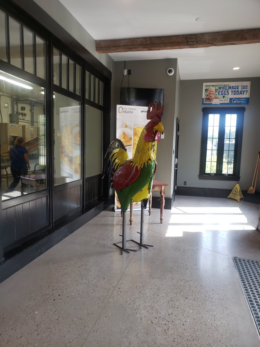 KaylaPrice29's tweet photo. I love the giant #poultry statues that I see at #Canadianpoultry barns. These statues always make me smile and think...where do I get one? @Alltech #poultrywithkayla https://t.co/8I59YUudDg