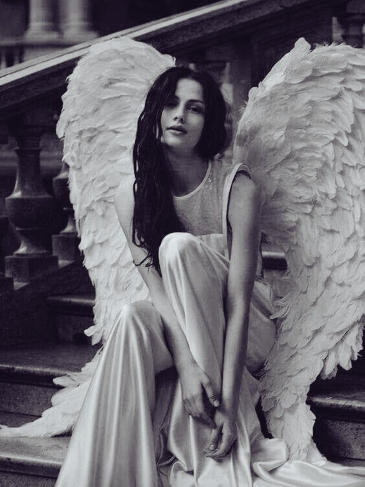 s_msonia's tweet photo. ___" Vi un ángel en el mármol y no dejé de tallar hasta liberarlo "
~ Miguel Ángel -Renacimiento
#Migueangel #Renacimiento
#Italia #Quote
#BuenDia
#FelizTarde #BuenasNoches https://t.co/PAPT1GavPl