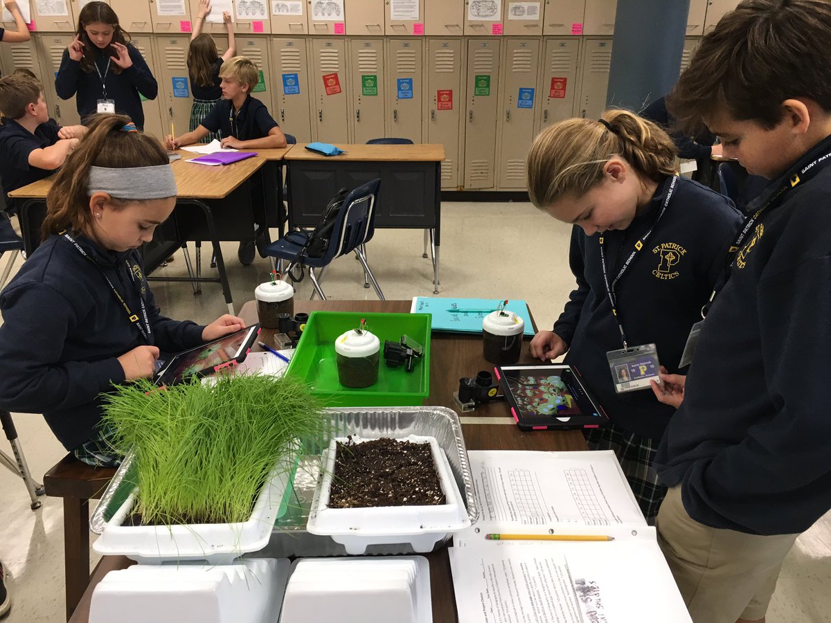 Celtics6grade tweet media