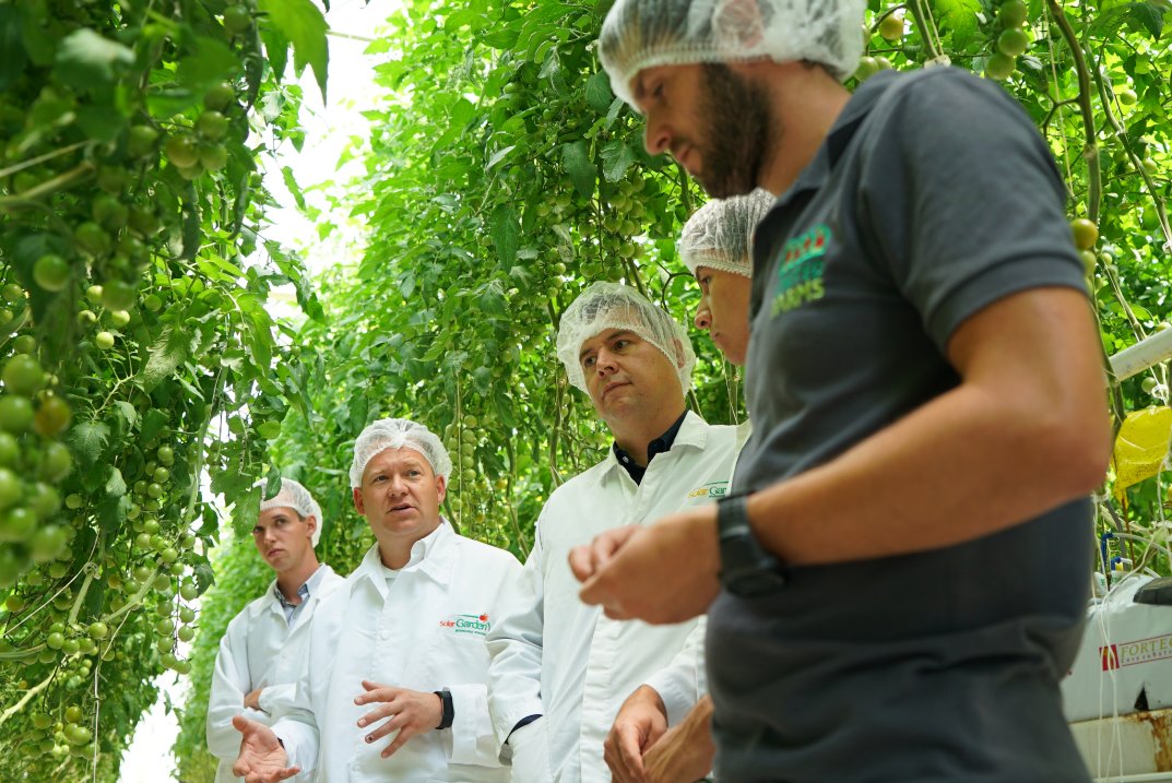 Horticonnectnl's tweet photo. 🍅🖥️🍅¿Qué hemos aprendido y logrado? + de 100 asistentes hoy en el Seminario Next Generation Growing que inició ayer con el NGG Dinner. Lecciones sobre la experiencia en México. #EnsamblandoSoluciones con mejores márgenes, plantas más sanas, ahorros en energía y fertilizantes https://t.co/fyMQzjljFM