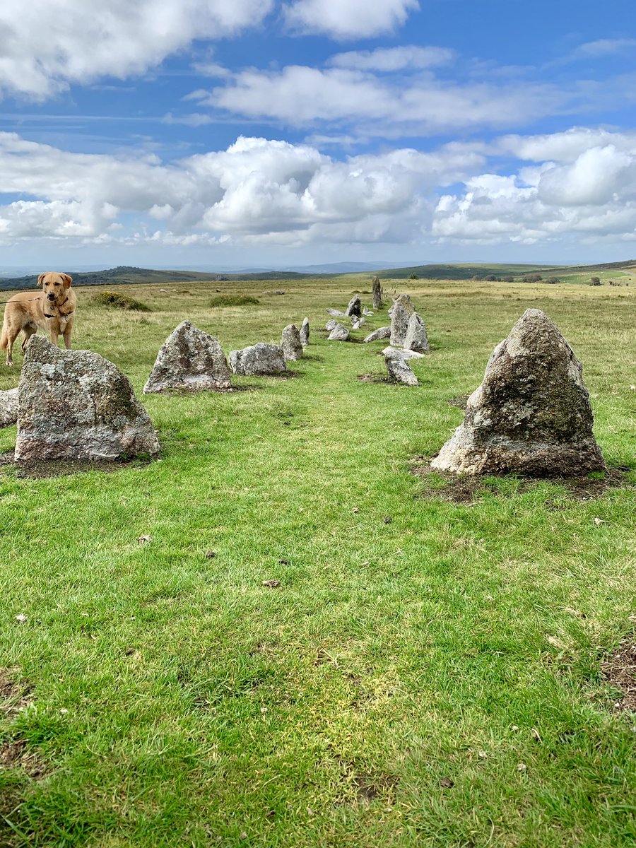 Stone row, Merrivale, Dartmoor... and an awesome dog photobomb.... #dartmoor #sacredsites #pagan #neolithic #dogphotobomb