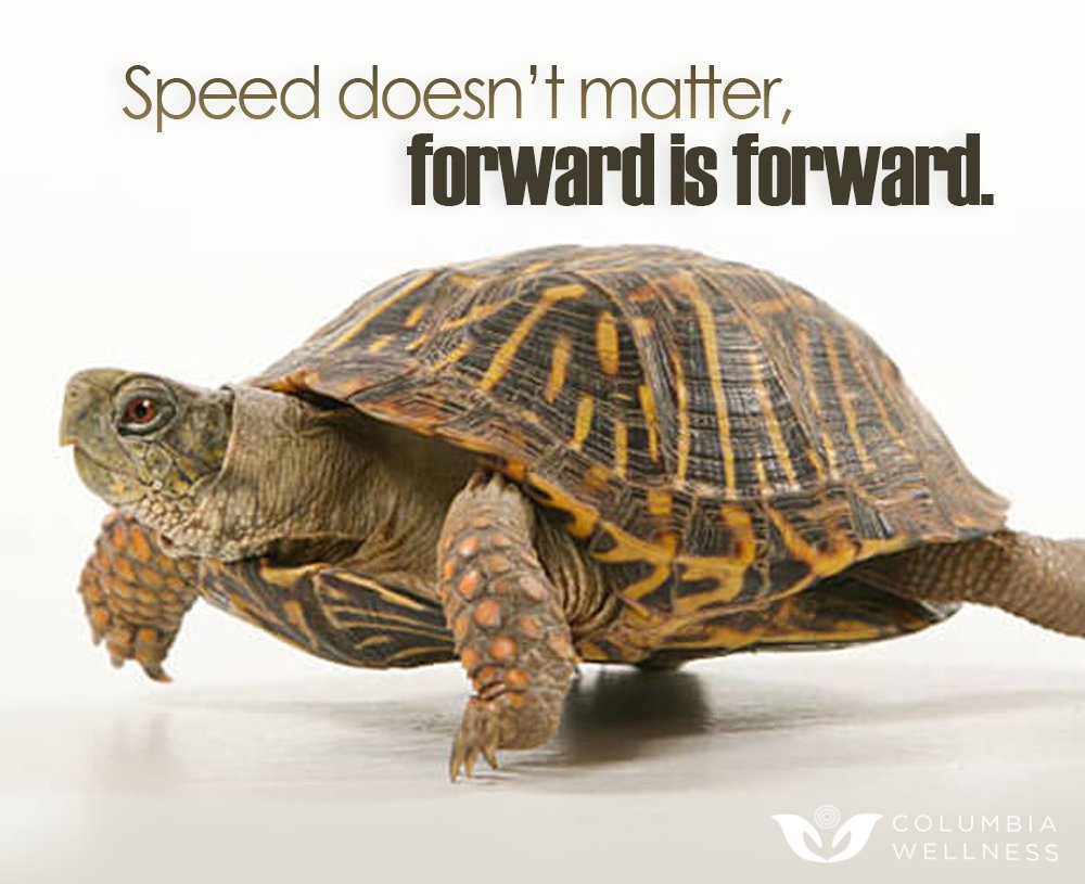 Sometimes it's better to be slow and steady to win the race.

If you want to get to the next level, give us a call.

Cowlitz County Services: 360-423-0203
Grays Harbor Services: 360-612-0012
Wellness and Recovery Center: 877-353-9840