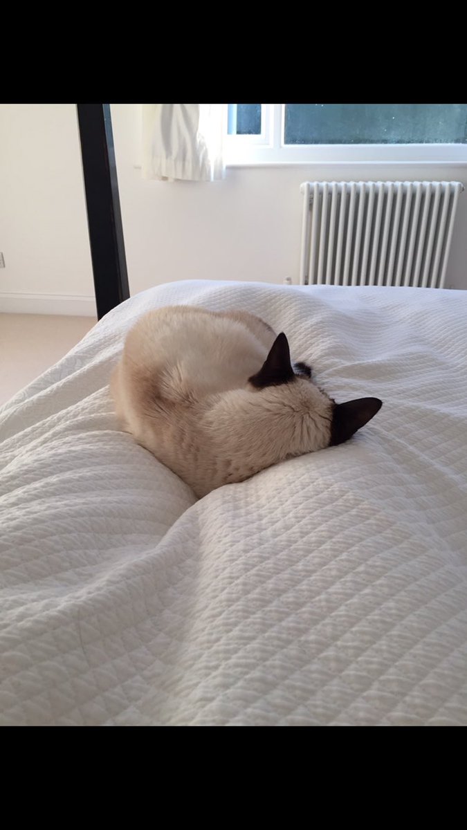 myleftfang's tweet photo. IT HASNβT ALL BEEN WORK WORK WORK THOUGH! WEβVE BEEN HAVING SOME CRAZY TIMES!!! #GoWildInTheCountry https://t.co/EIV8Rdd2aX