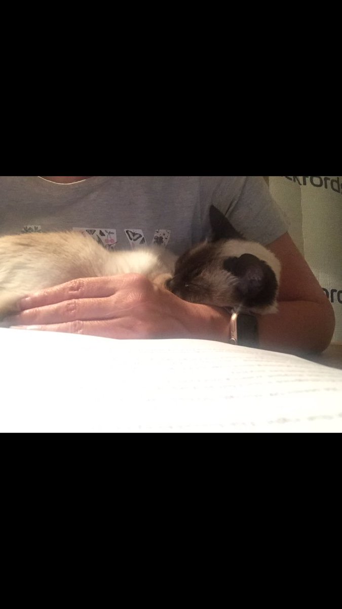 myleftfang's tweet photo. IT HASNβT ALL BEEN WORK WORK WORK THOUGH! WEβVE BEEN HAVING SOME CRAZY TIMES!!! #GoWildInTheCountry https://t.co/EIV8Rdd2aX