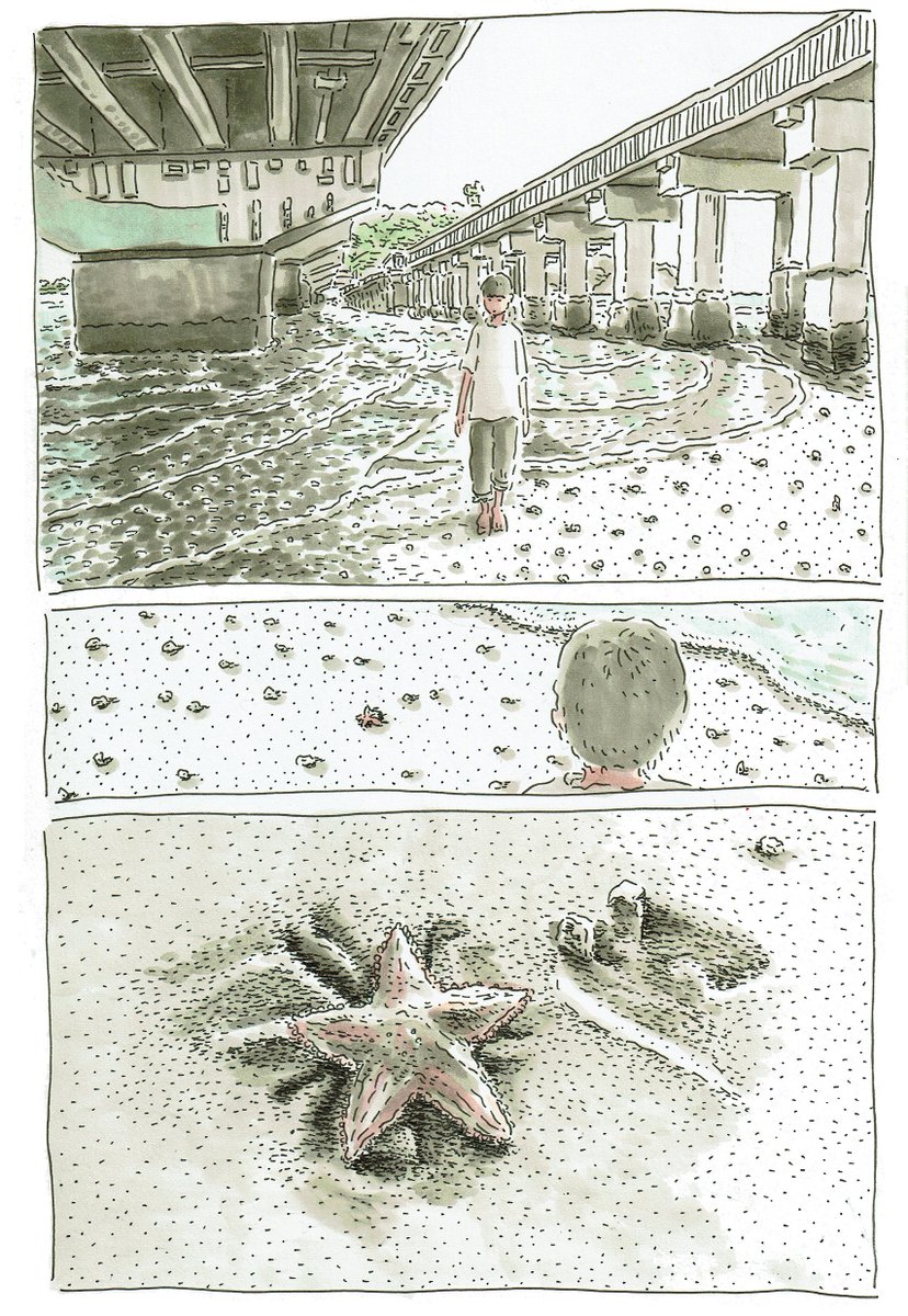ヒトデ 