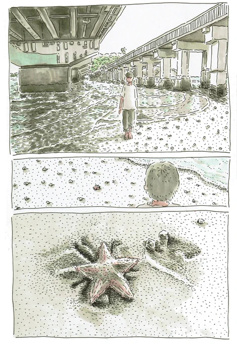 ヒトデ 
