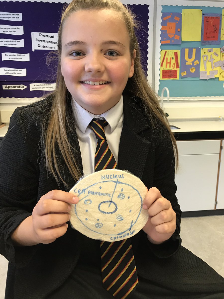 Boness_Science's tweet photo. 2. Absolutely amazing model cell homework projects from 1set7! 👏😱🎂#proudteacher #creativescientists https://t.co/W5BVnSYgHE