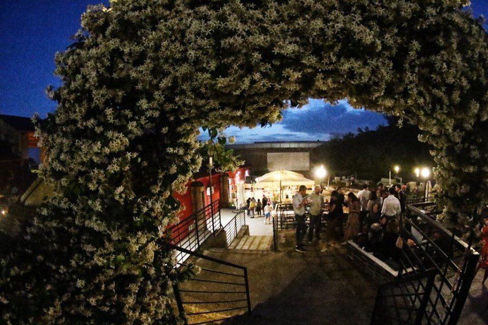 MONK Roma tweet media