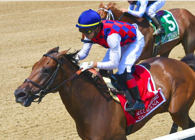 EclipseSports's tweet photo. MGSWs #Guarana, #SerengetiEmpress and #Bellafina will square off in the G1 Cotillion @Parxracing, a @breederscup #WinandyoureIN berth for the @LonginesEq Distaff. Who is your pick to #win? @HR_nation @ABRLive
๐ท Bob Mayberger https://t.co/Yrn5yWk73t
