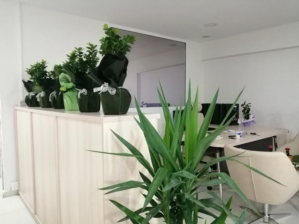 sycamorepls's tweet photo. Ofisimiz çiçek gibi 🌺☘️🌿🌷
#SycamorePLS #LanguageSchool #yds2019 #TOEFL #IELTS #Yds2019 #Yabancıdil #İngilizce https://t.co/KqpvI8WmIC