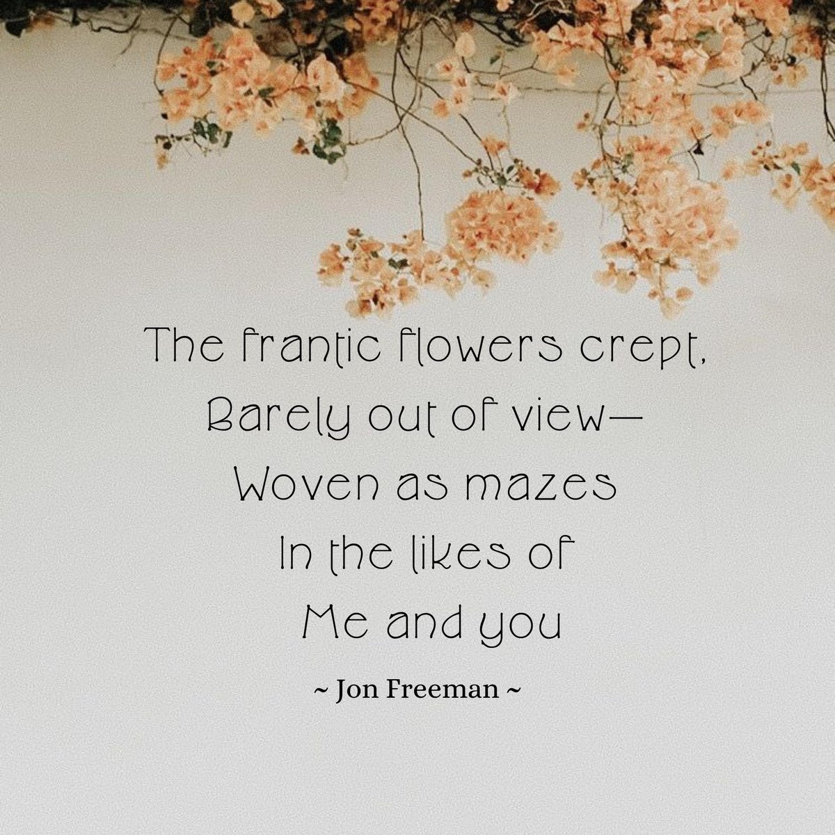 LP__Writers's tweet image. "The frantic flowers crept..."