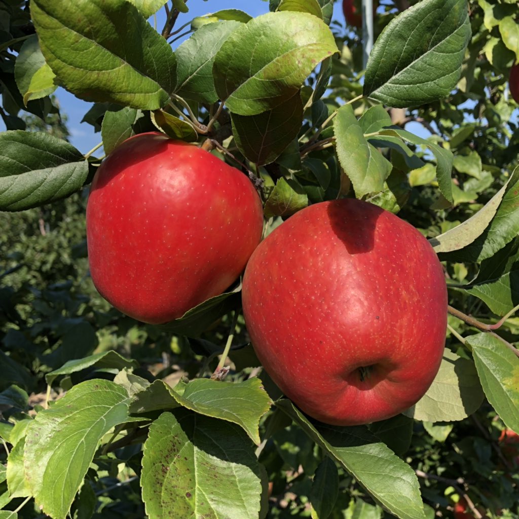 Loveland Products - Michigan tweet media