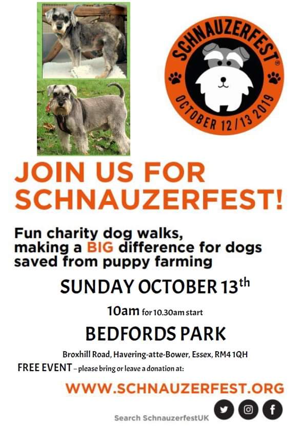 I am hosting another @SchnauzerfestUK dog walk this year at @essexwildlifetrust 's Bedfords Park. Sunday Oct 13, 10am. FREE Entry and car park. #schnauzerfest #puppyfarmsurvivor