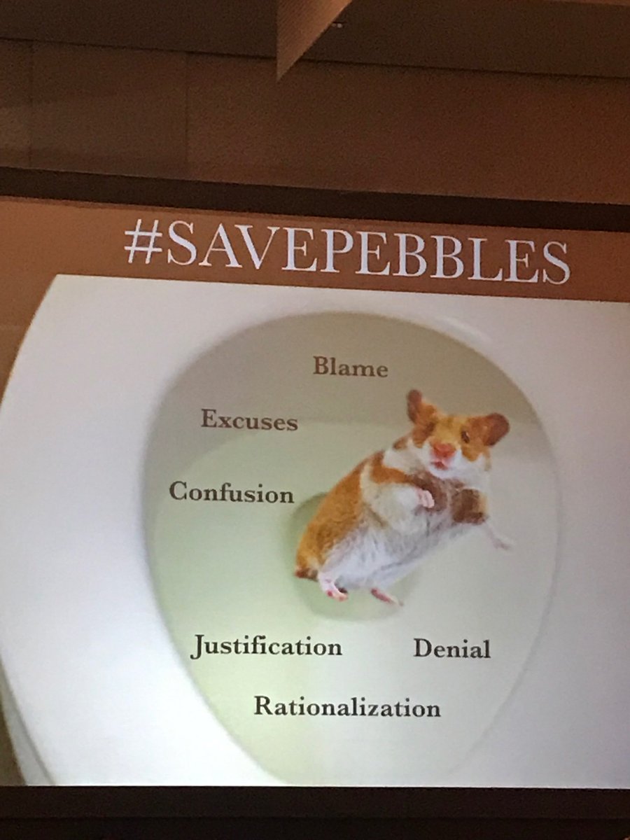 Penelope Orr tweet media